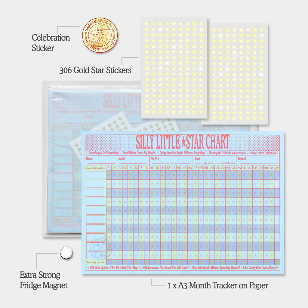 Silly Little Star Chart