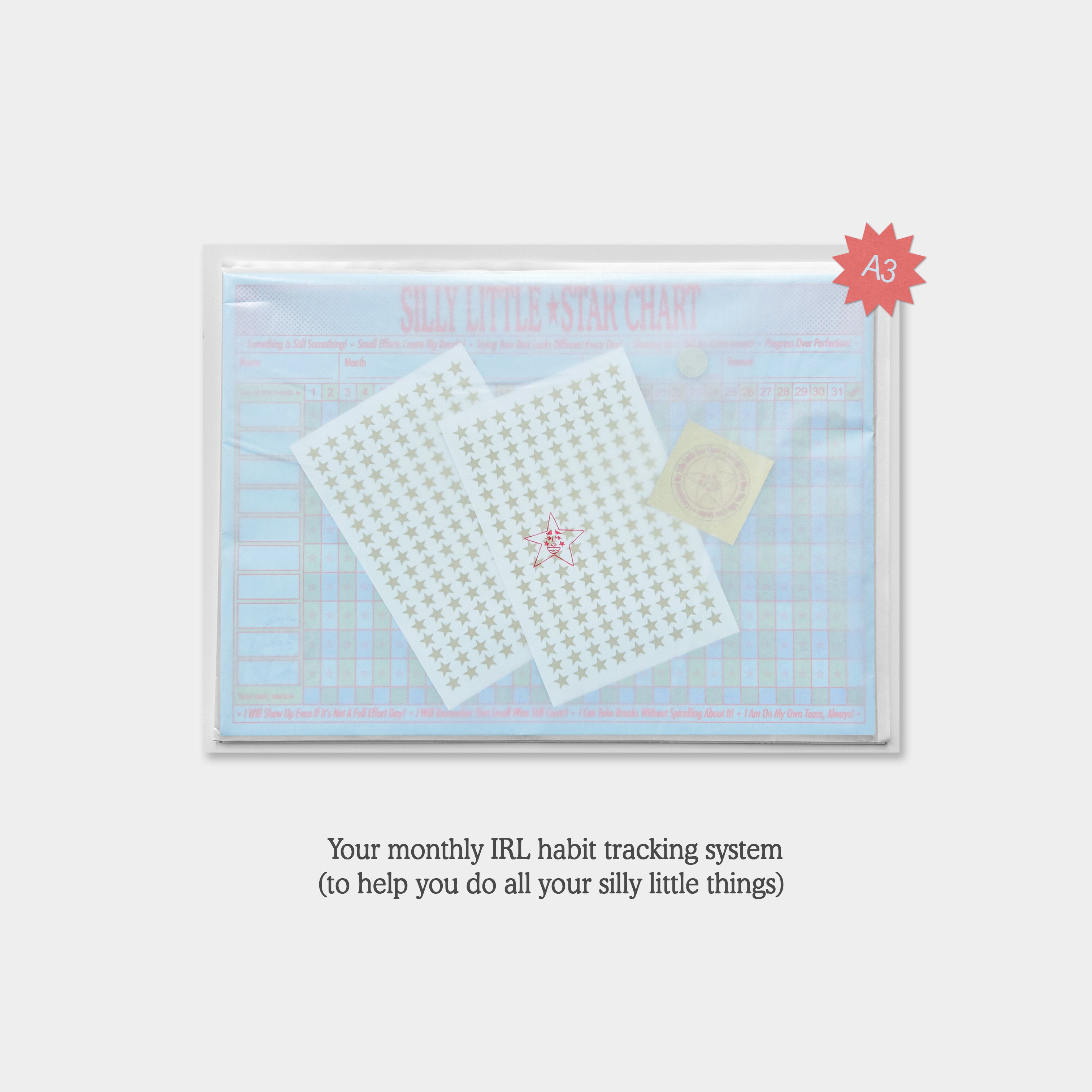 Silly Little Star Chart